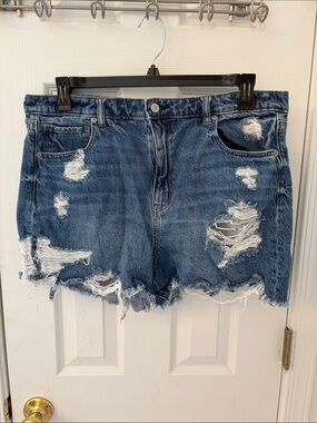 American Eagle Outfitters Distressed Blue Denim Cutoff Mom Shorts